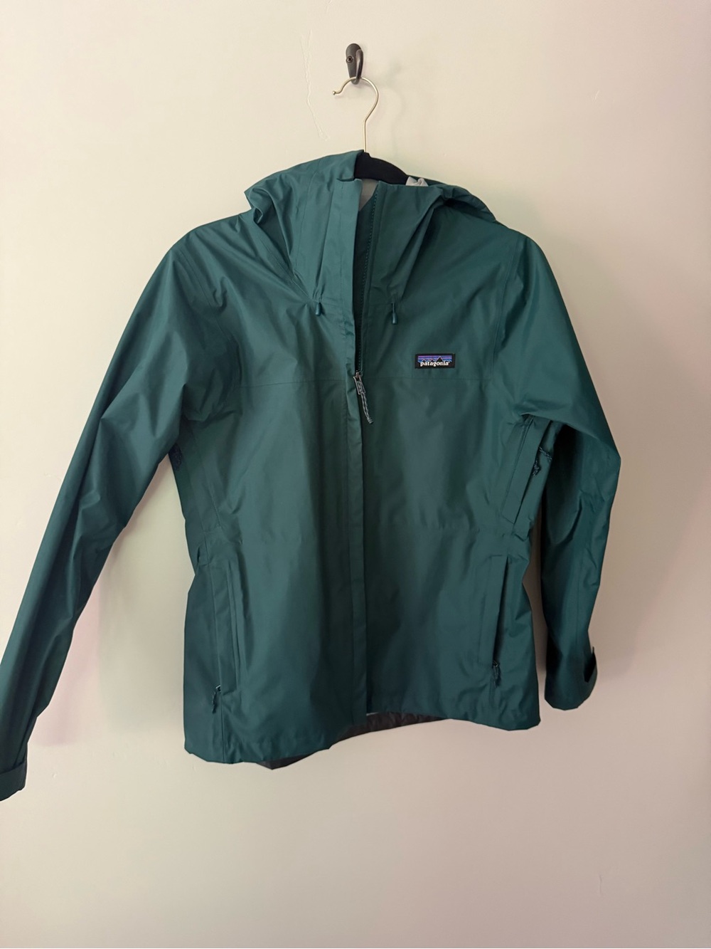 Patagonia Women's Teal Hooded Ski/Snow Jacket